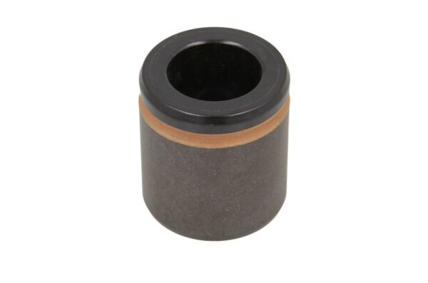 Piston etrier BBP 7902BBP păreri