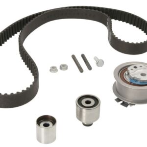Set curea de distribuție INA 530 0650 10