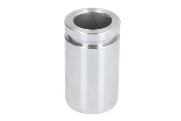 Piston etrier AUTOFREN SEINSA D0-25365 păreri