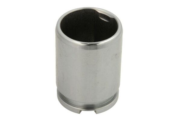 Piston etrier AUTOFREN SEINSA D0-25541 păreri