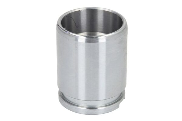 Piston etrier AUTOFREN SEINSA D0-2593 păreri