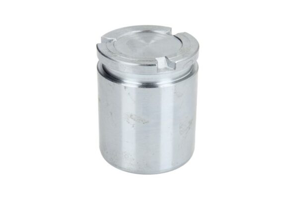 Piston etrier AUTOFREN SEINSA D0-25543 păreri