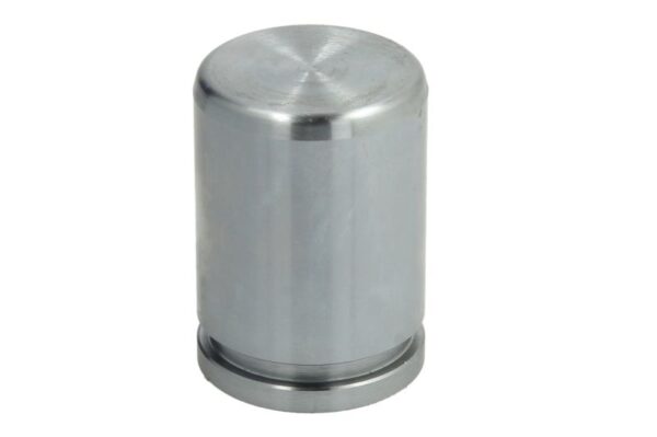 Piston etrier AUTOFREN SEINSA D0-25550 păreri