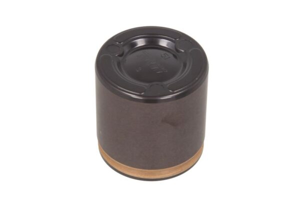 Piston etrier BBP 7943BBP păreri