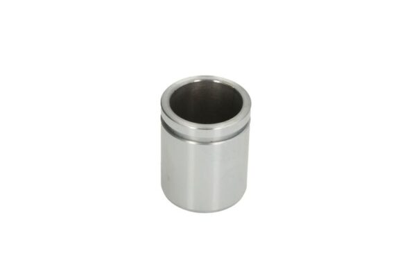 Piston etrier AUTOFREN SEINSA D0-25702 păreri