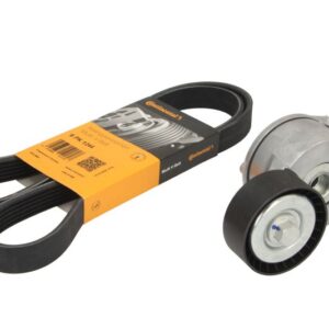 Set curea de distribuție CONTITECH 6 PK 1244 K1