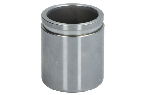 Piston etrier AUTOFREN SEINSA D0-25913 păreri
