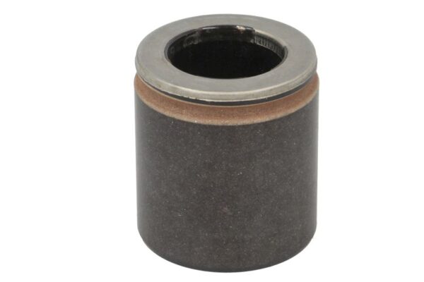 Piston etrier BBP 7957BBP păreri