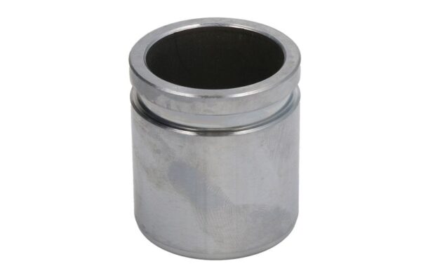 Piston etrier AUTOFREN SEINSA D0-25460 păreri