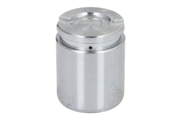 Piston etrier AUTOFREN SEINSA D0-2593 păreri