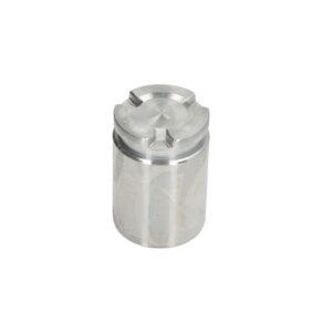 Piston etrier AUTOFREN SEINSA D0-25602