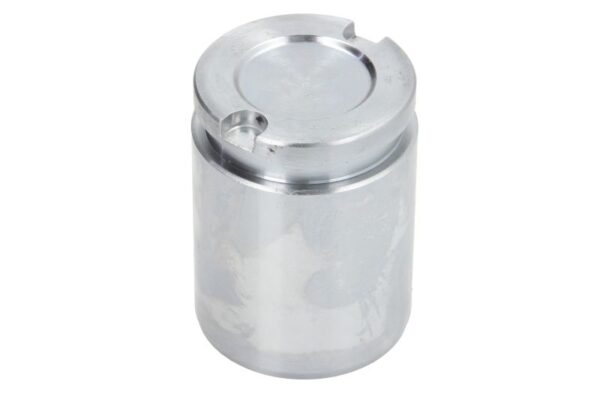 Piston etrier AUTOFREN SEINSA D0-2519 păreri