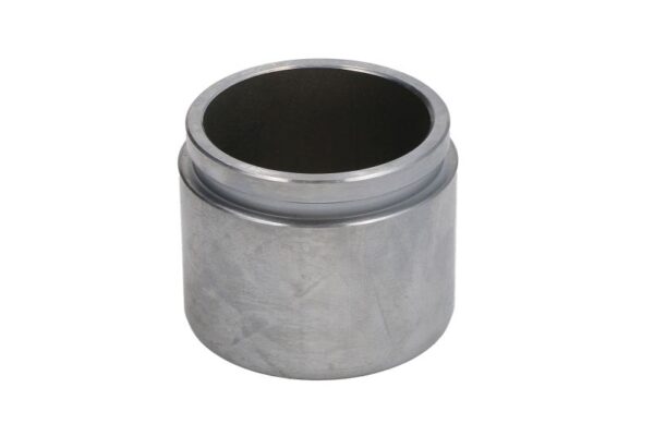 Piston etrier AUTOFREN SEINSA D0-25395 păreri