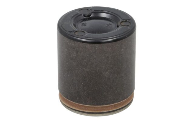 Piston etrier BBP 7957BBP păreri