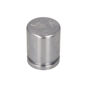 Piston etrier AUTOFREN SEINSA D0-25636