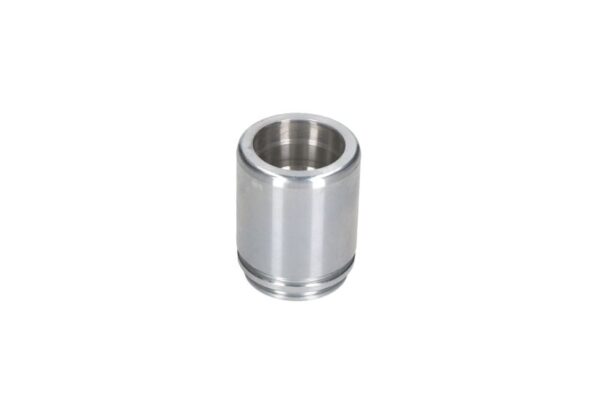 Piston etrier AUTOFREN SEINSA D0-25558 păreri