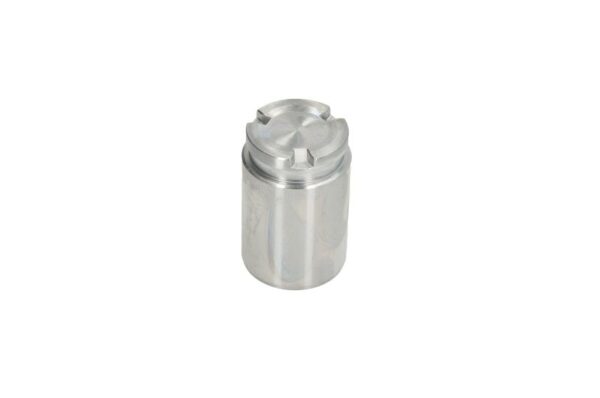 Piston etrier AUTOFREN SEINSA D0-25620 păreri