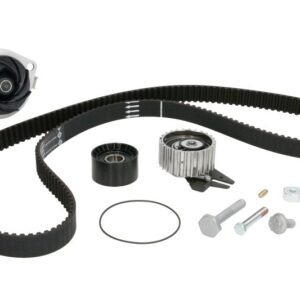 Set pompă apă + curea dințată INA 530062430