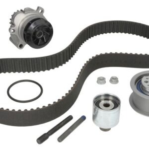 Set pompă apă + curea dințată INA 530020132