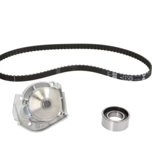 Set pompă apă + curea dințată INA 530020430