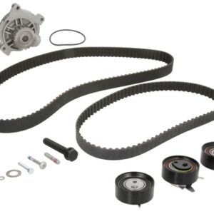 Set pompă apă + curea dințată INA 530048330