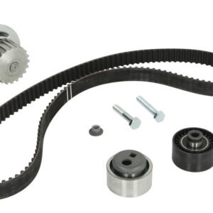 Set pompă apă + curea dințată INA 530011930