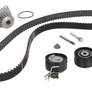 Set pompă apă + curea dințată INA 530041930