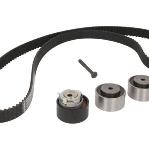 Set curea distribuție INA 530 0933 10