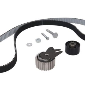 Set curea distribuție INA 530 0561 10