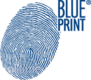 Blue Print